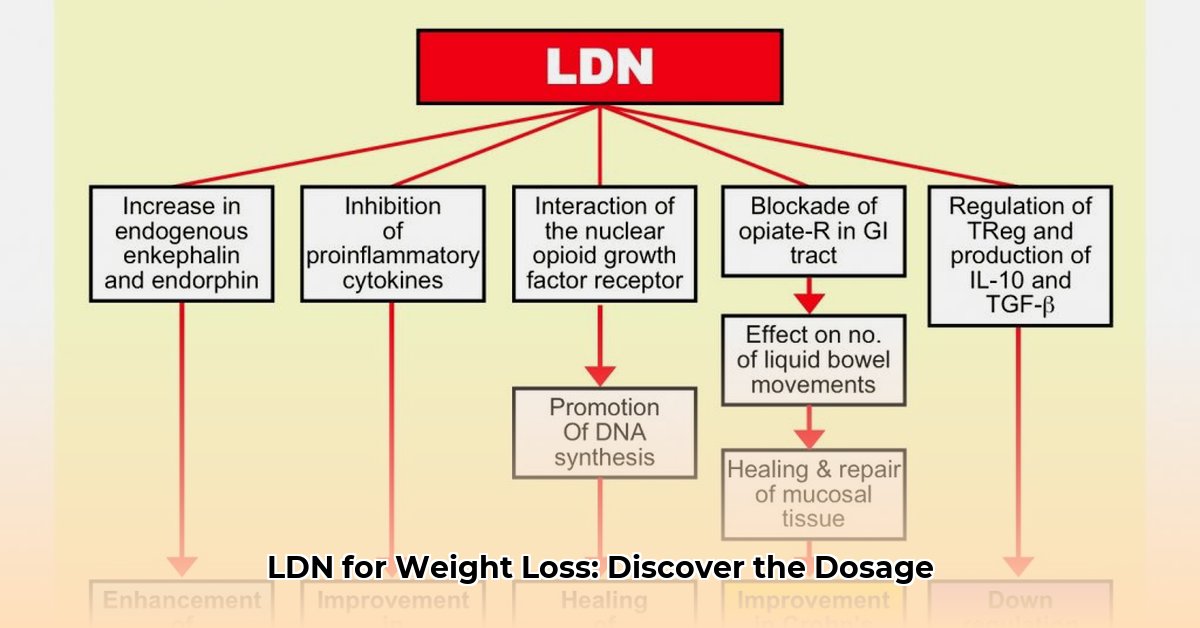 ldn-dose-for-weight-loss
